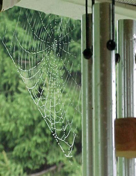 picture of dewy spider web on my windchimes